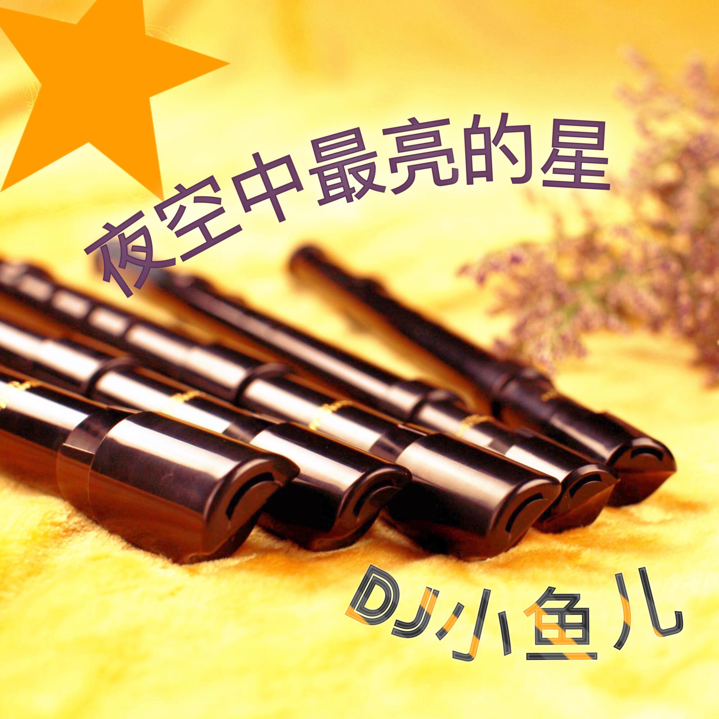 《夜空中最亮的星》Flute哨笛版