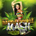 Ragga Jungle Mash专辑