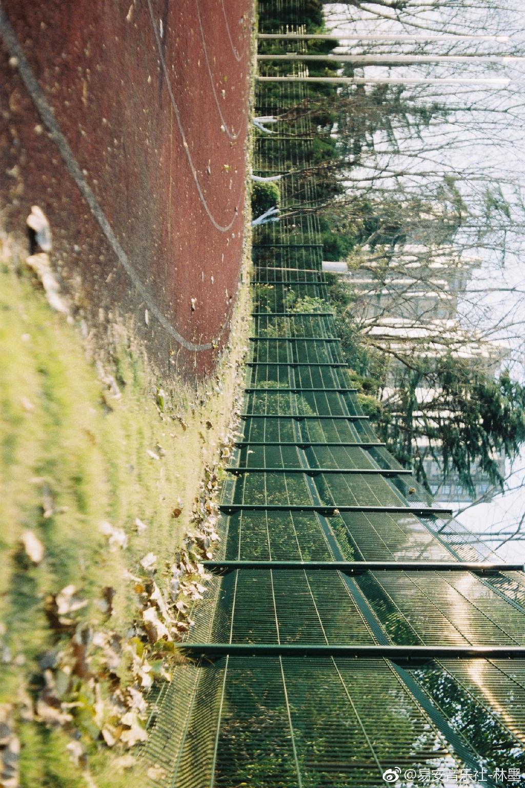 世界上的另一个我「黄其淋（林墨）」（翻自 阿肆 / 郭采洁）