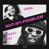 Devin Lex - Not My Problem (feat. Laila!)