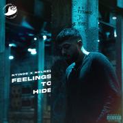 Feelings To Hide