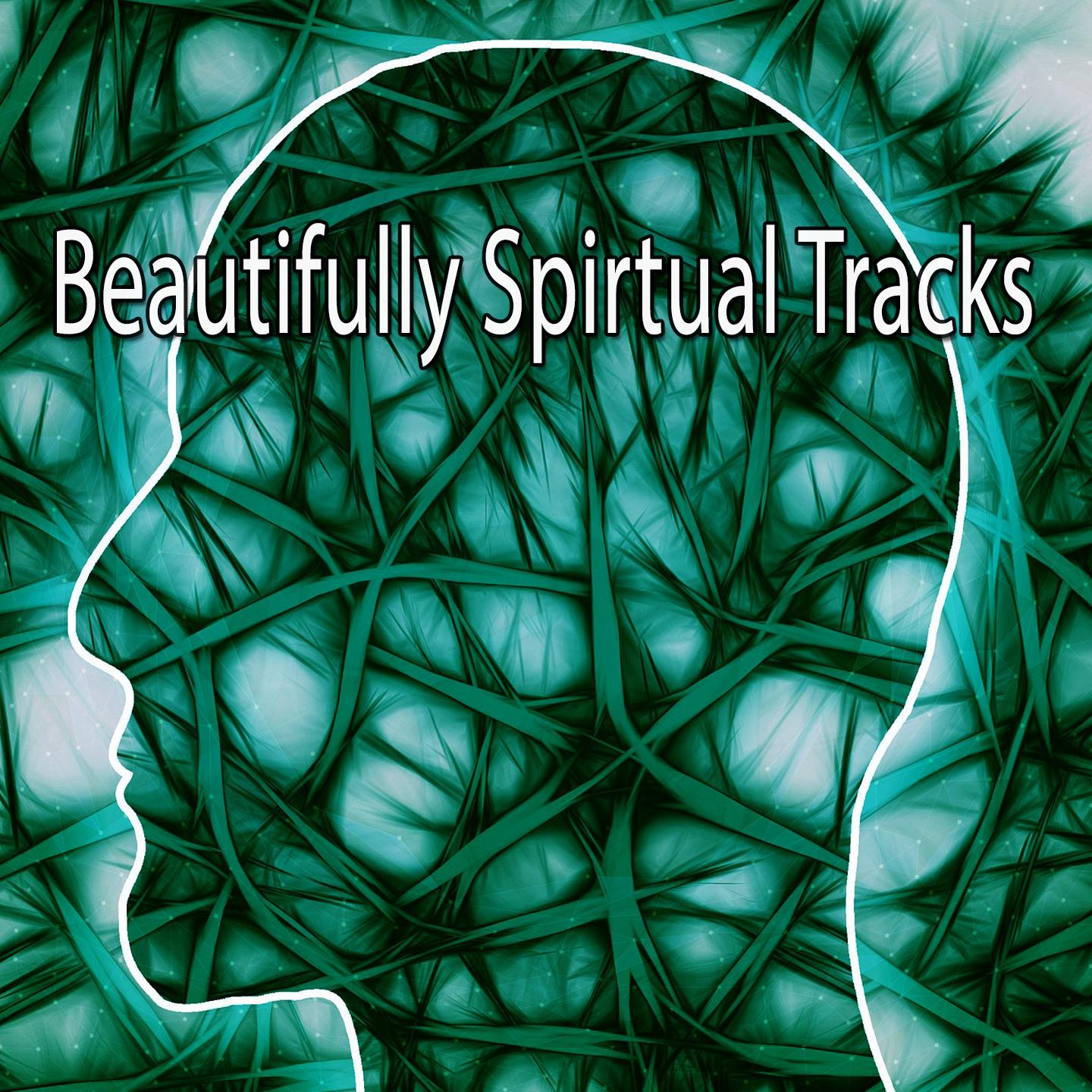 Beautifully Spirtual Tracks专辑