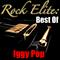 Rock Elite: Best Of Iggy Pop专辑