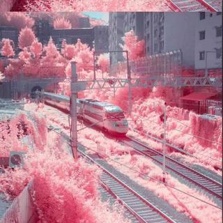 MOM（蜡笔小新）