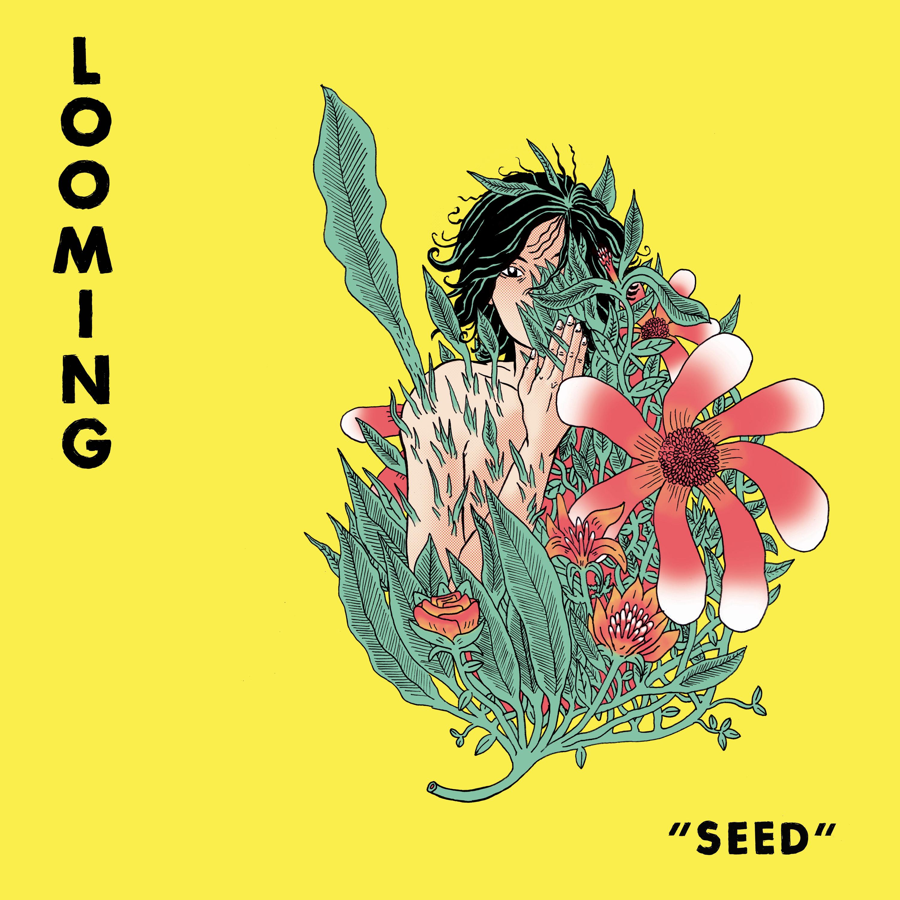 Seed专辑