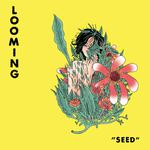 Seed专辑