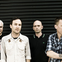 Toadies