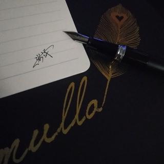 专辑合集