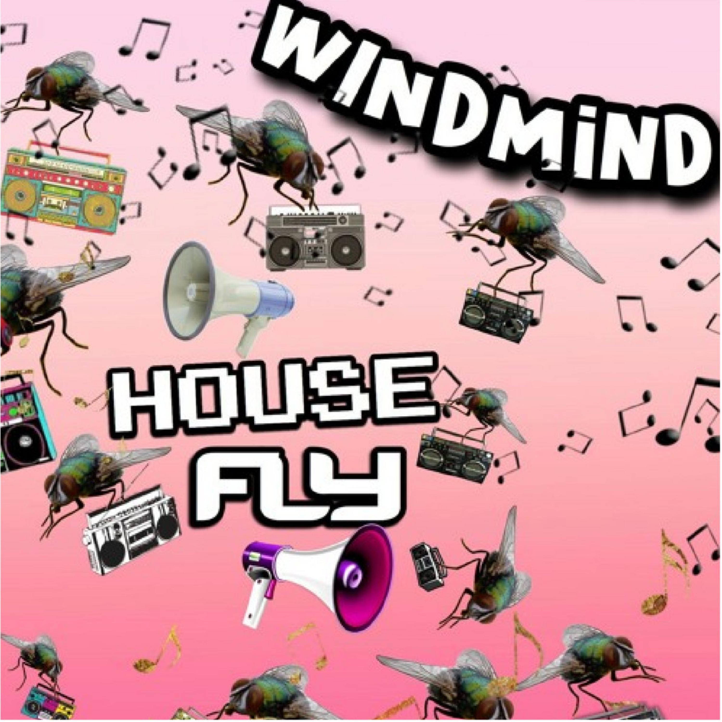 Housefly