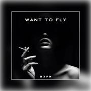 Want to fly