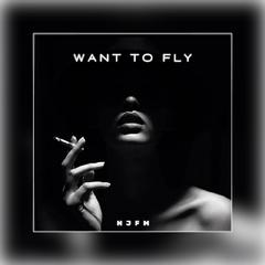 Want to fly