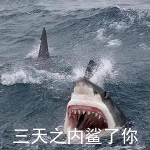 流水线   伴奏