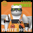 WHITE HOLE UNIVERSE