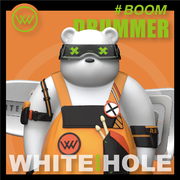 WHITE HOLE UNIVERSE
