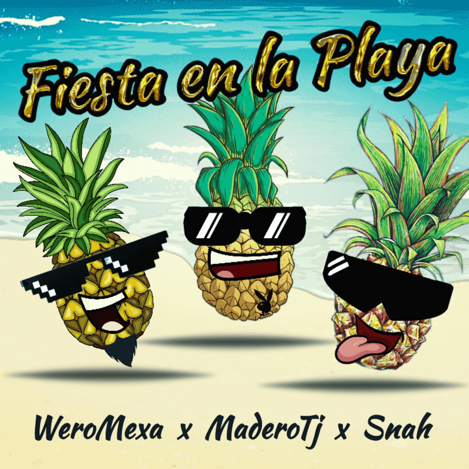 Wero Mexa - Fiesta En La Playa