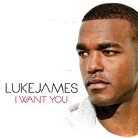 Luke James - I Want You (Karaoke Version) 带和声伴奏