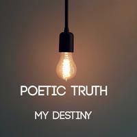 Truth Of My Destiny（自制中文和声）