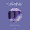 MAXIMALS - What Are We Waiting For