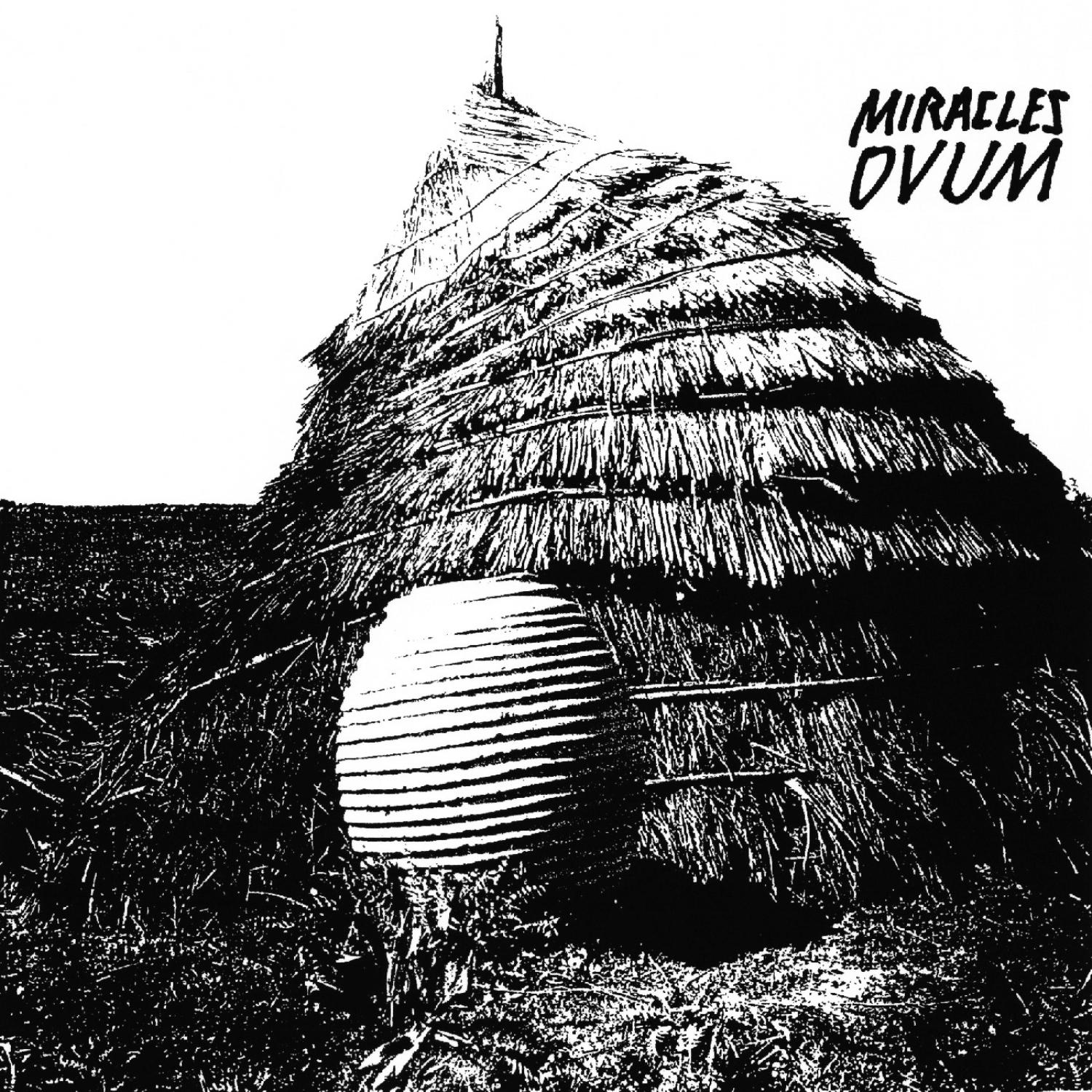 Ovum