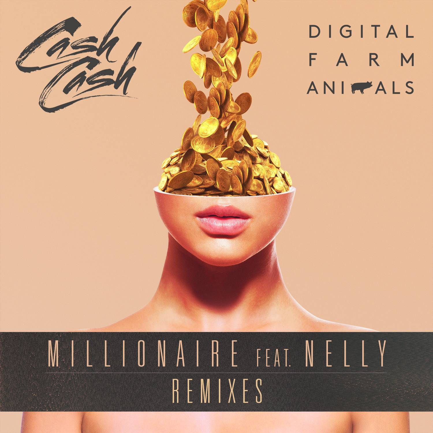 Millionaire (Remixes)专辑