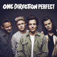 Perfect - One Direction (HT karaoke) 带和声伴奏