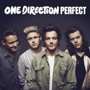 Perfect - One Direction (PT Instrumental) 无和声伴奏