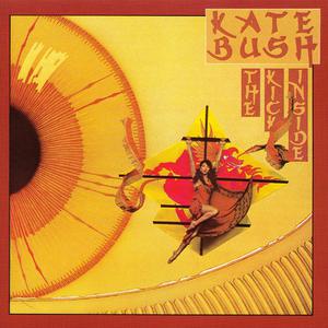 Kate Bush - Wuthering Heights 消音伴奏 The Kick Inside （降2半音）