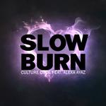 Slow Burn专辑