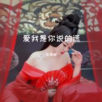 刘曦 - 爱我是你说的谎(伴奏).mp3