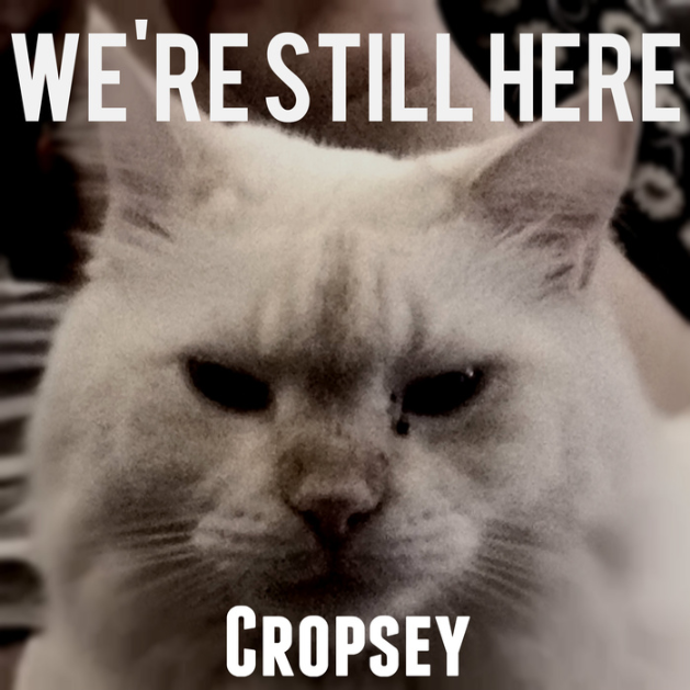 We're Still Here (Single)
