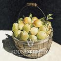 Sound Remedy –Folklove- mixed by Kenichiro Nishihara