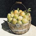 Sound Remedy –Folklove- mixed by Kenichiro Nishihara专辑