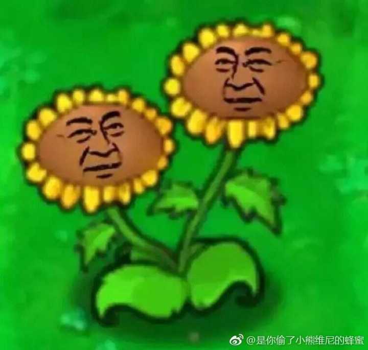 干就完了专辑