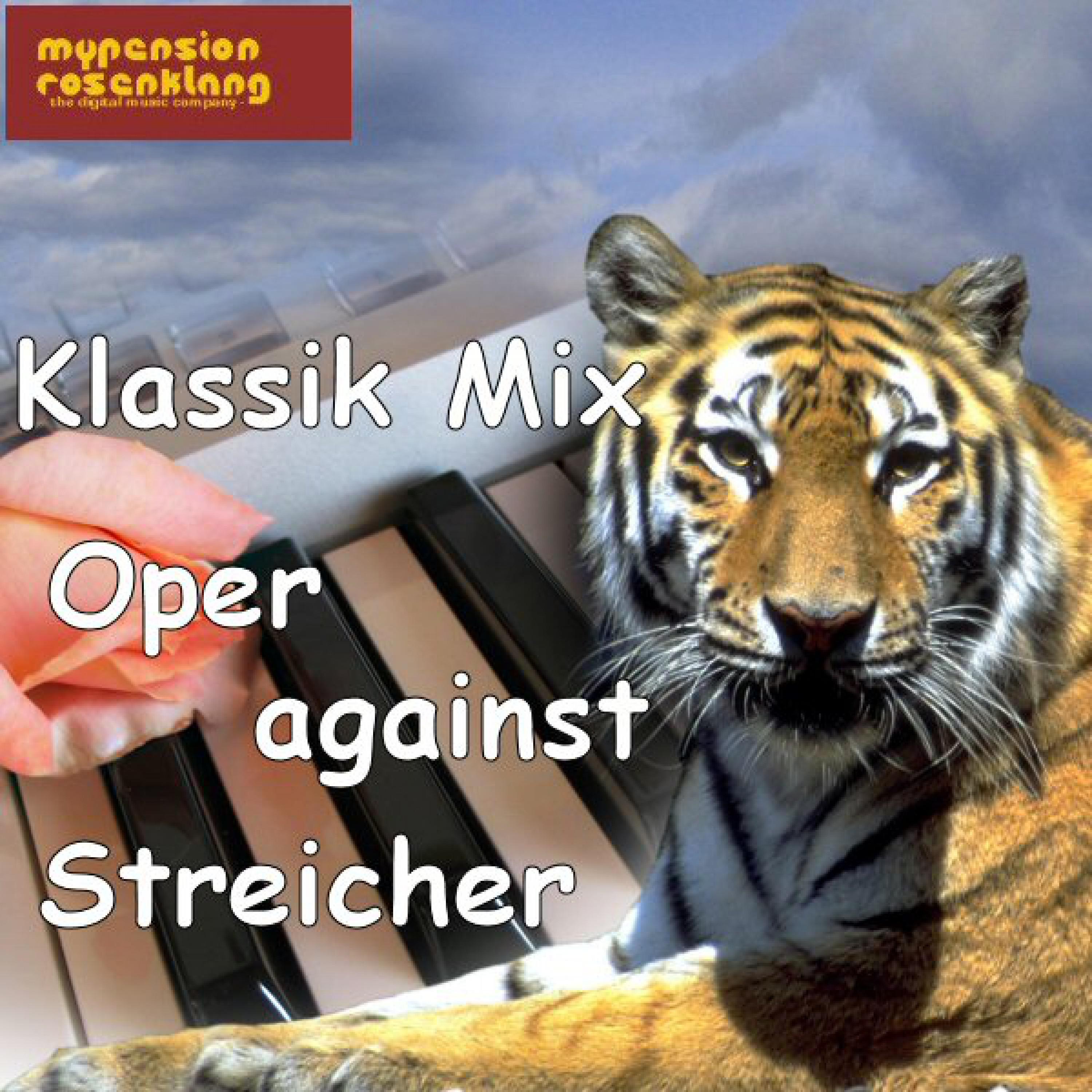 Classical Music Mix - Oper Arie Against Strings / Klassik Mix - Oper Gegen Streicher专辑