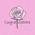 Congratulations