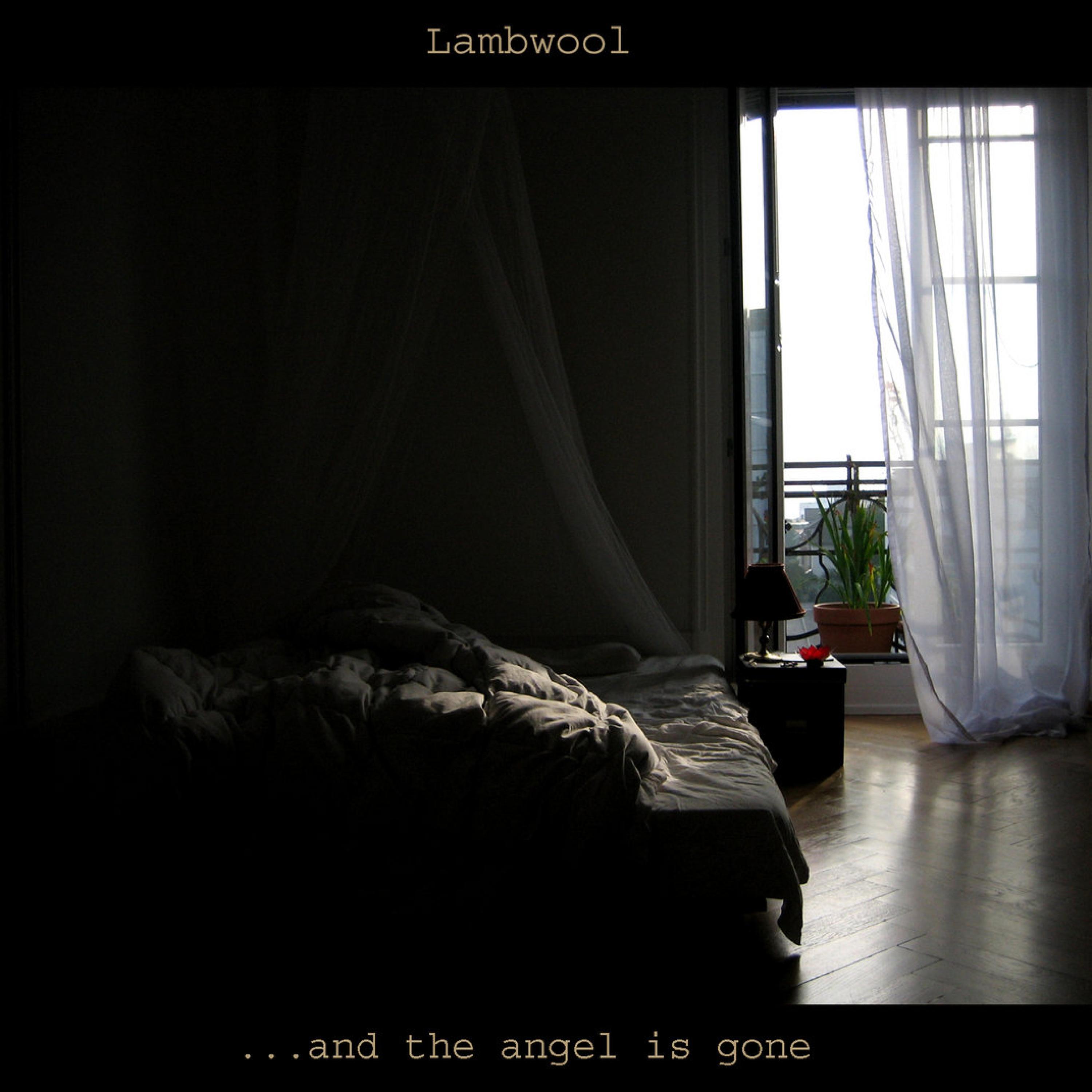 ...And the Angel Is Gone