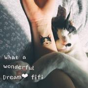 What a Wonderful Dream