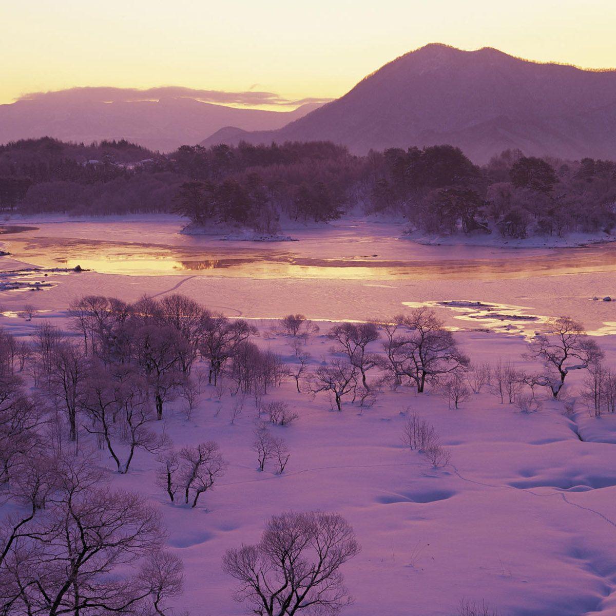 雪落下