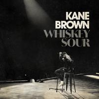 Kane Brown - Whiskey Sour (Karaoke Version) 带和声伴奏