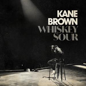 Kane Brown - Whiskey Sour (unofficial Instrumental) 无和声伴奏 （升2半音）