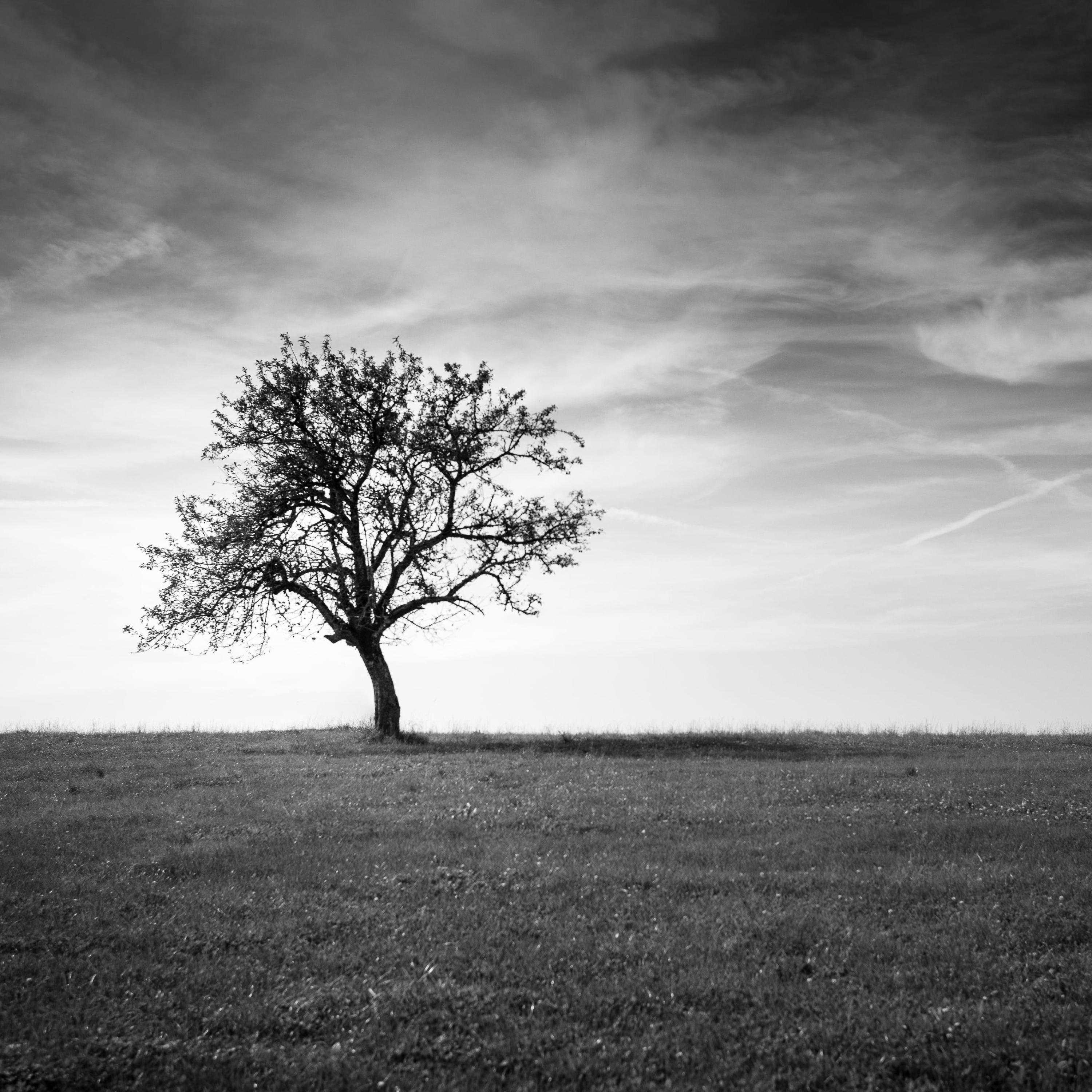New Beginnings