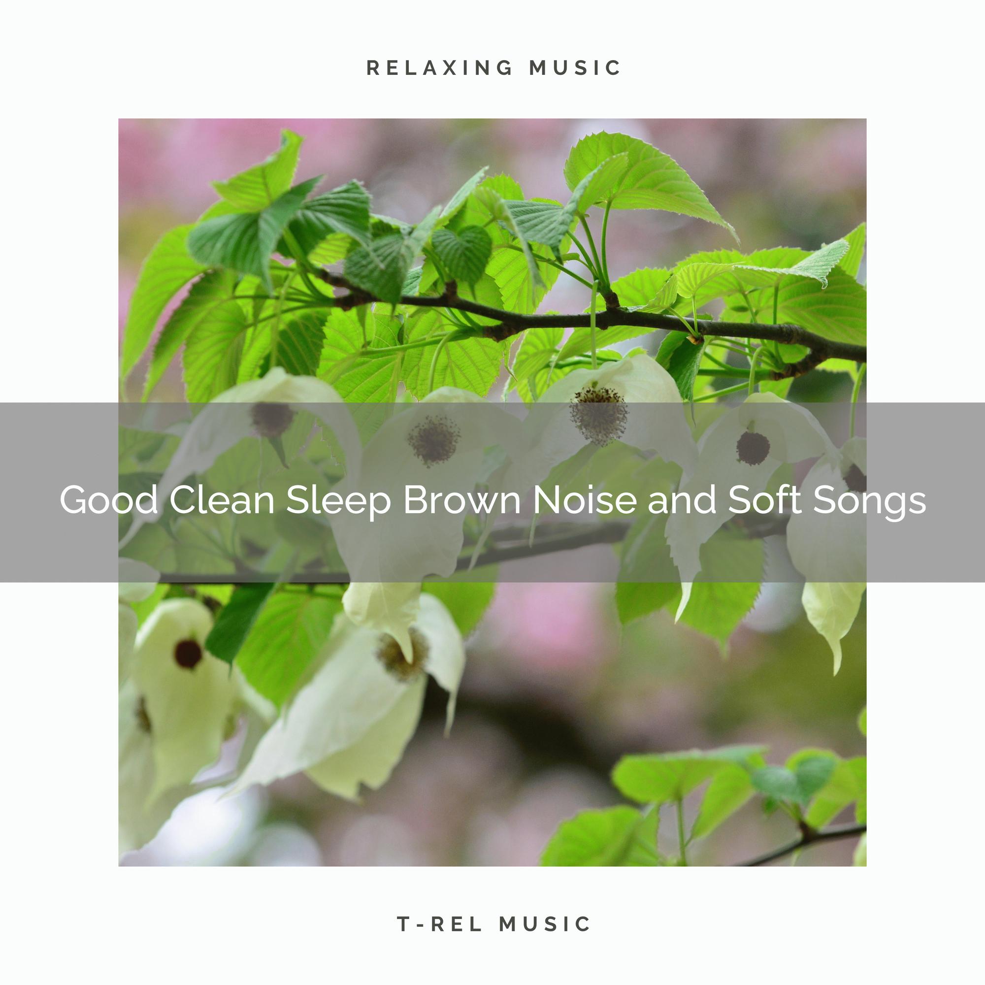 0001 Good Clean Sleep Brown Noise and Soft Songs