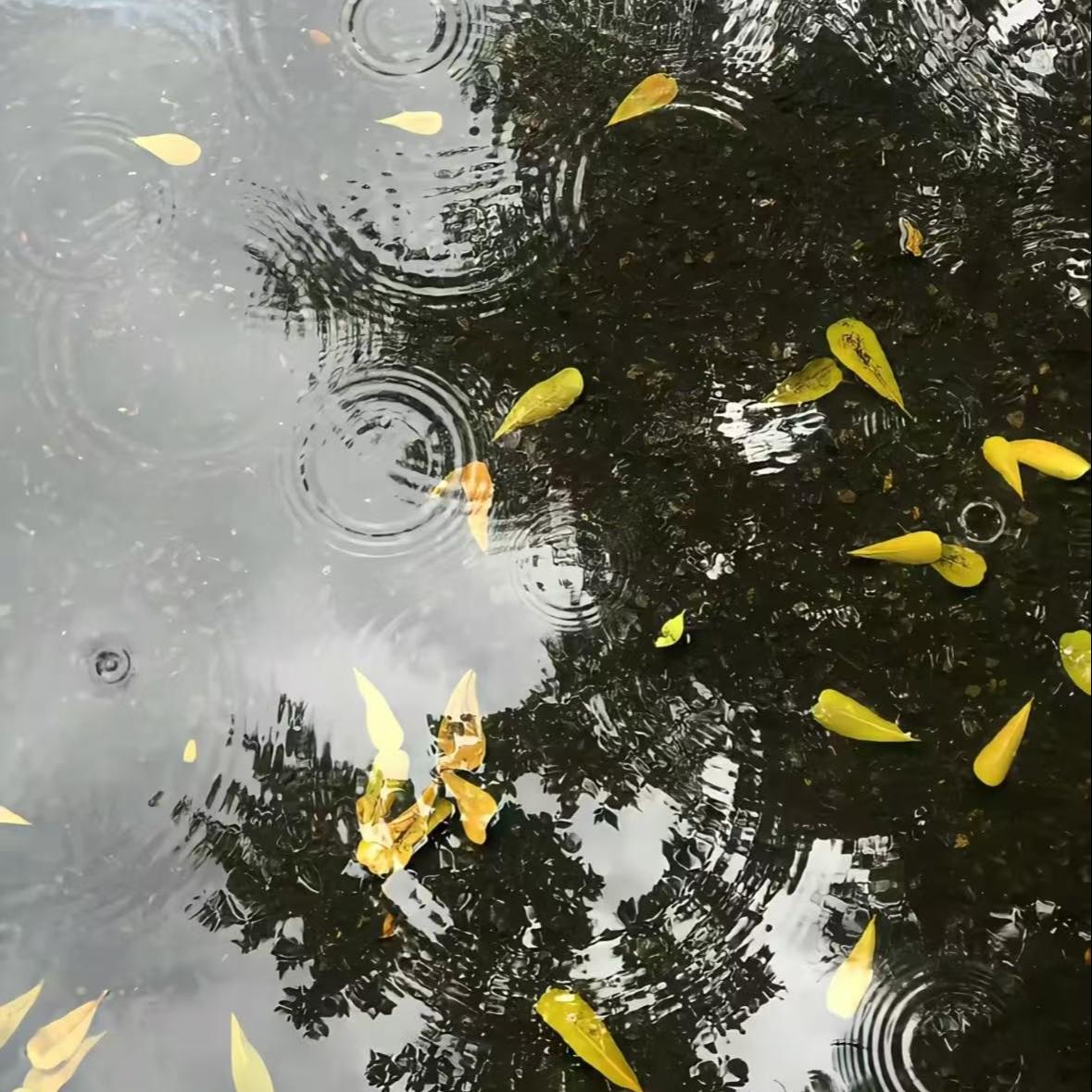 云水谣 en王翊恩