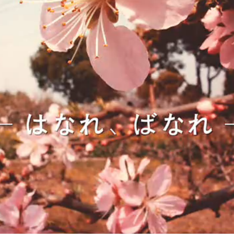 はなれ、ばなれ（Cover 古川本舗）