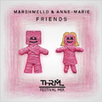 FRIENDS (THRML Festival Mix)