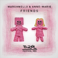 FRIENDS (THRML Festival Mix)