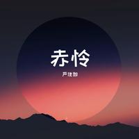 白狐 寻音 吉他弹唱.