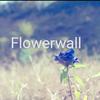 FlowerWall（Cover：米津玄師）