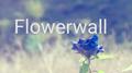 Flowerwall专辑