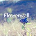 Flowerwall专辑